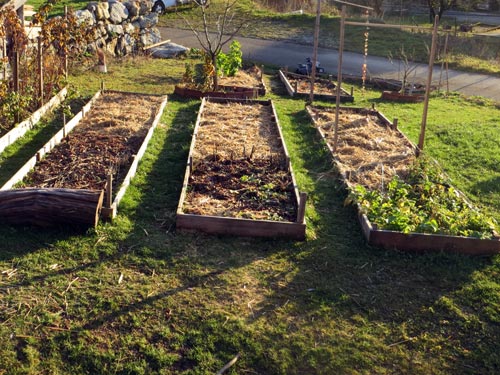 Paillage Jardin et Potager : Comment le faire ?