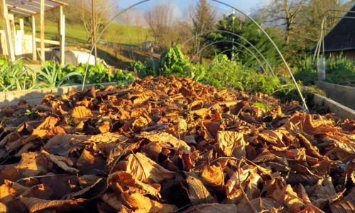 couche de feuilles sur jardin