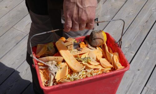 déchets de cuisine