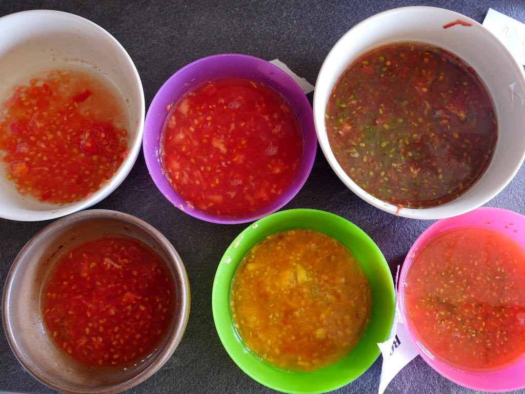 Fermentation des graines de tomates