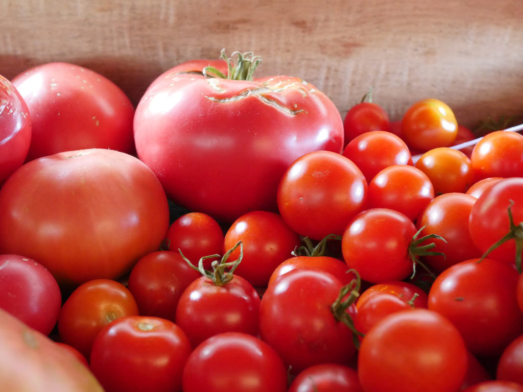 Tomates roses généreuses