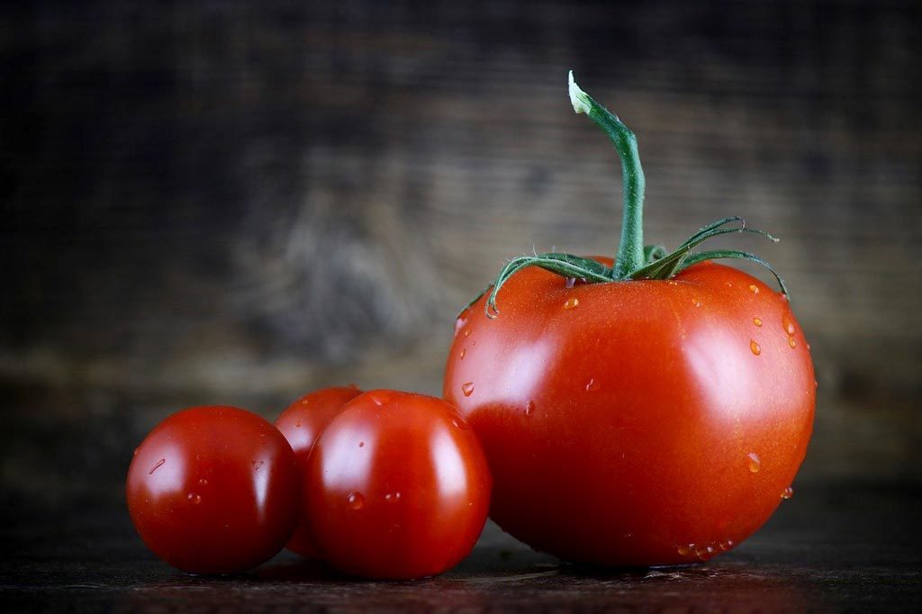 famille de tomates