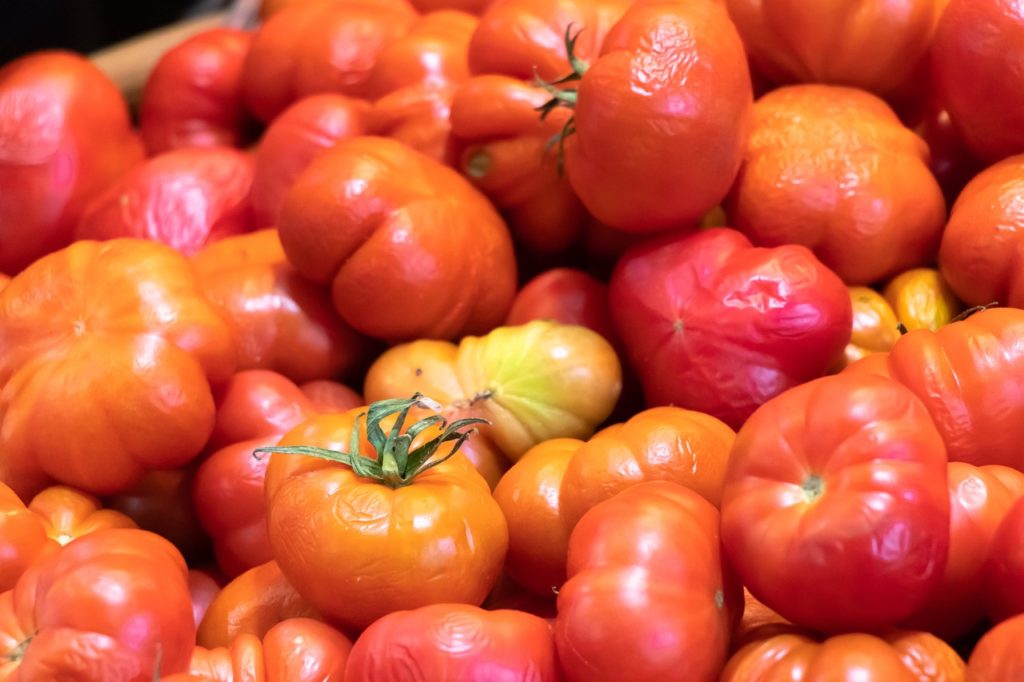 Tomates trop mûres