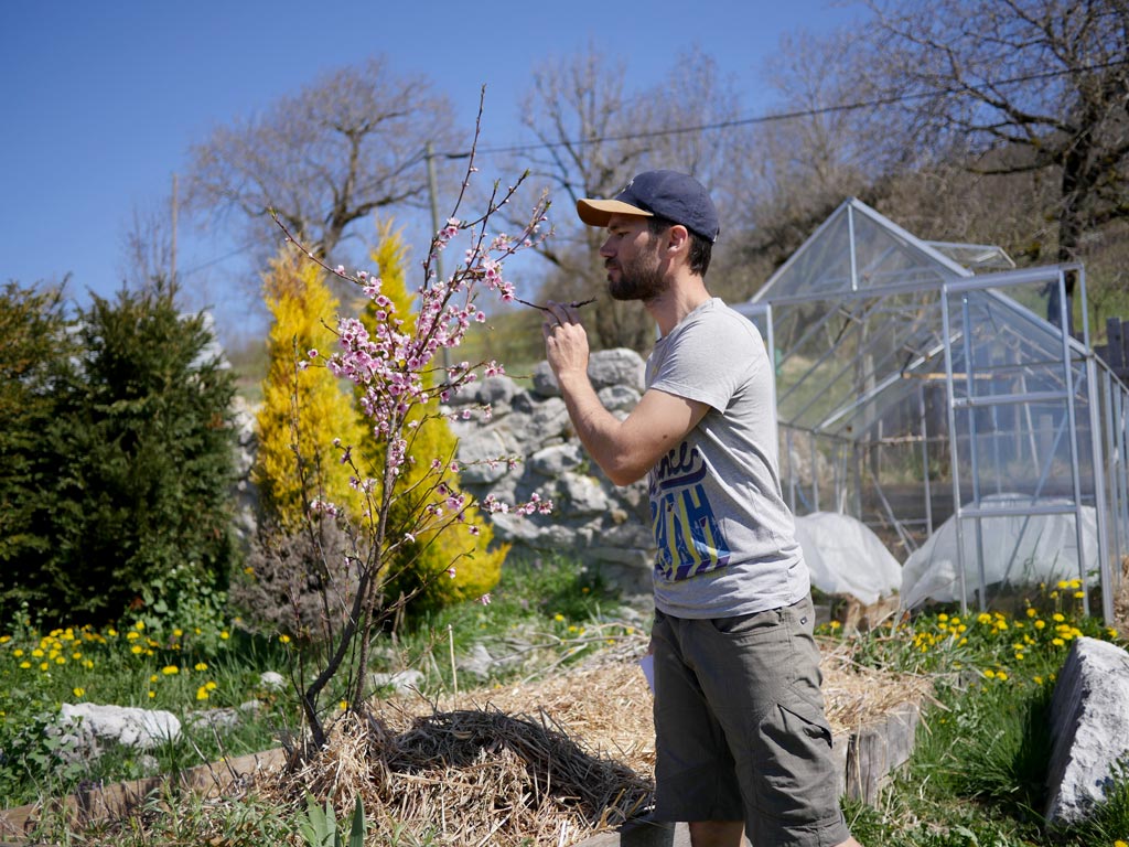 Hortithérapie et jardin