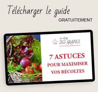 Téléchargez le guide