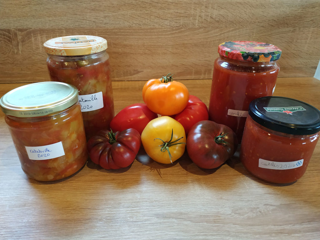 Transformation des tomates du jardin en coulis de tomates et en ratatouille