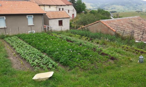 Jardin potager d'Aillou